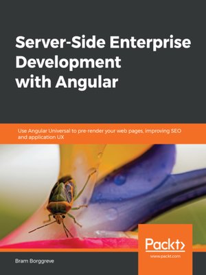 cover image of Server-Side Enterprise Development with Angular